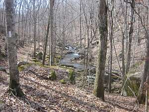 OHT Trib of Buck Branch